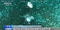 游动、滑翔、爬行  我国深海小型机器人“冰山”重压下可自如行动